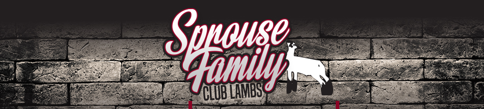 Sprouse Family Club Lambs